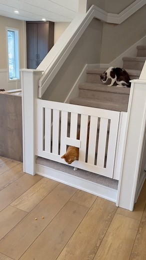 Call 1-866-950-4283 and have your custom wood safety gate in just a few weeks!#SafetyGates #CustomGates #BabyGate #PetGate #ElderlyGates #AginginPlace #HomeGateOptions #HomeSafety #RemovableGate #HandmadeGates #PaintedGates #HomeBarrierGates #SafeHome #ElderlyCare | Gatekeepers Custom Safety Gates