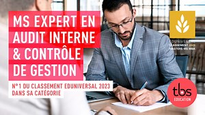 Mastère Spécialisé® Expert en Audit Interne et Contrôle de Gestion