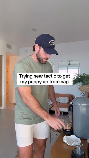 2.2K views · 54 reactions | Not even a nap can get in the way of Cactus and #dog #dogs #puppy #doglover #dogoftheday #doglife #fyp #foryou #reels | Cactustherescue | Facebook