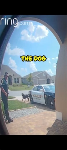 153K views · 4.7K reactions | The Funniest Doorbell Cam Ever - Cop Gets Unexpected Surprise  : mrpicklescanecorso TT #CopHumor #Police #Funny #Ring #Cop #Dog #Reels #fypシ゚ | CopHumor_ | Facebook