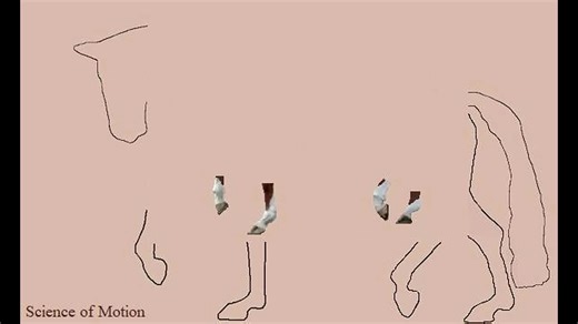 2.7K views · 49 reactions | Don’t ignore excessive dorsiflexion of...