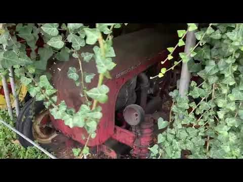 Oldtimer Porsche Traktor im Originalzustand Lost Place Südtirol Kalterer See