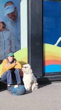 Paris random New Year 2026...