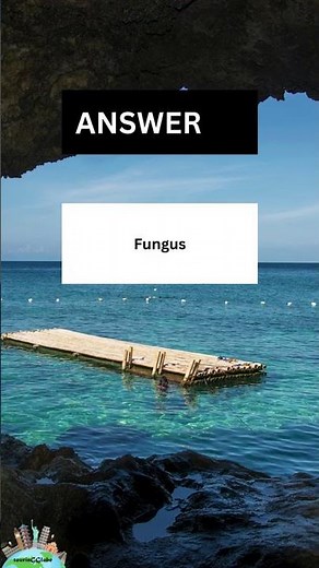 CAN YOU PASS THE MOST INTERESTING Science Questions?