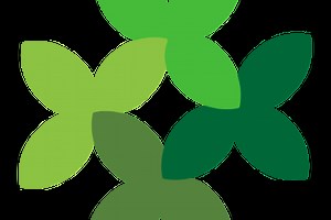 ECOVision
