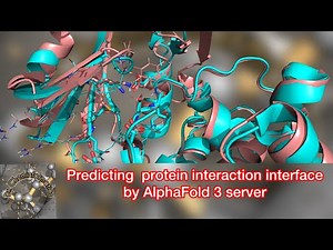 How to use AlphaFold3 server