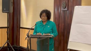 Deputy Minister of Agriculture, Water, and Land Reform Anna Shiweda...