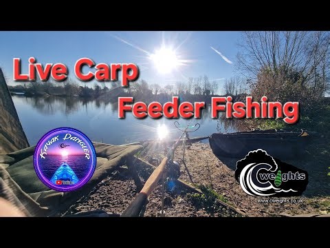 KayakDangler's Fishing Adventures Feeder Fishing For Carp, #fishing #viralvideo #viral