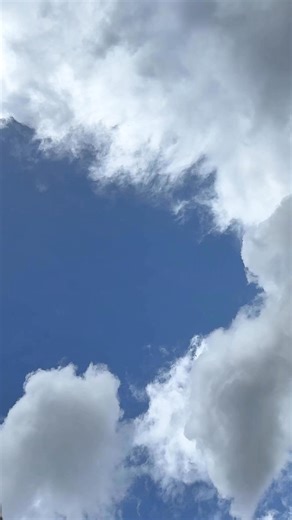 Hybrid Battery Maintenance ⚠️ | Hybrid Solution Diagnostics