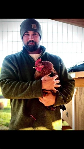 Digging out the chicken coop for an upgrade and new chicks #chickens #backyardchickens #hardwork #fyp