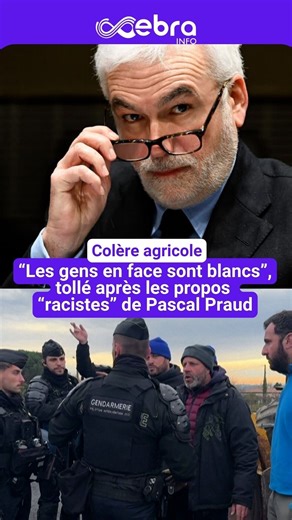 Ce mardi 13 janvier, les élus de gauche ont saisi l’Arcom après des propos polémiques de Pascal Praud qui commentait des images en direct de heurts entre agriculteurs et policiers sur le barrage de l’A64. L'animateur de CNews a notamment estimé que le travail des policiers serait moins « facile » face à des « blancs ». #ebrainfo | Dernières Nouvelles d'Alsace - DNA