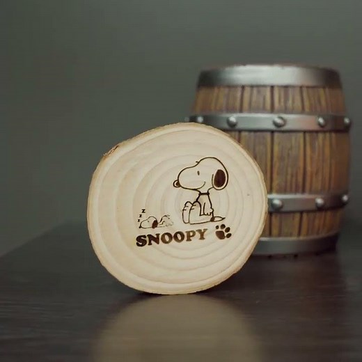 TwoTrees TTS-55 V2.0 DIY Laser Engraving Machine