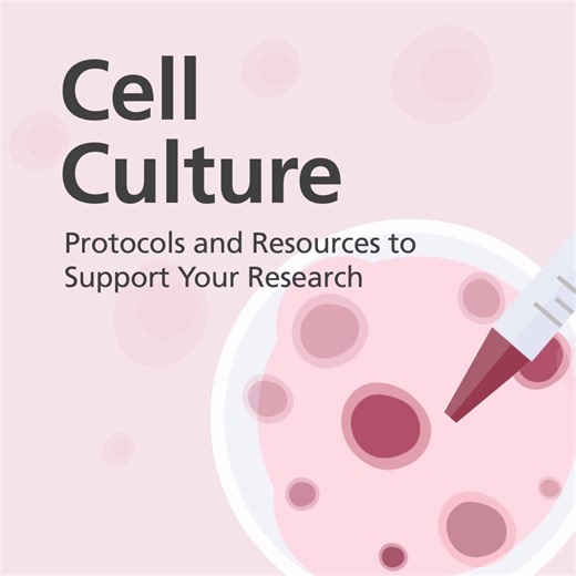 Refresh your knowledge with our Methods Library!  Read protocols or watch videos for all different types of cell culture: https://bit.ly/4aJeux1 | STEMCELL Technologies | Facebook