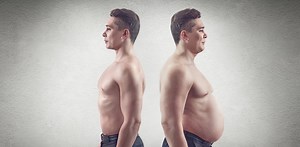 Fat or thin: can the bacteria in our gut affect our eating habits and weight?