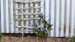 How to make a hanging climber