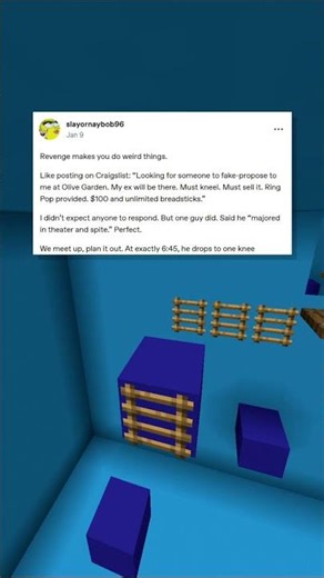 Craigslist Fake Proposal 💍