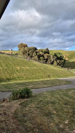 137 reactions · 14 comments | Needa work on the stopping part 藍 | Liam James | Facebook