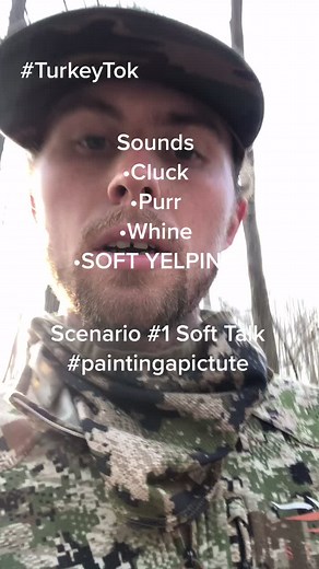 Turkey calling scenarios soft talking !!!! #FYP #Foryourpage #turkeycalling #turkeycallingtutorial #turkeys #powercalls.