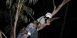 Meet a conservation biologist