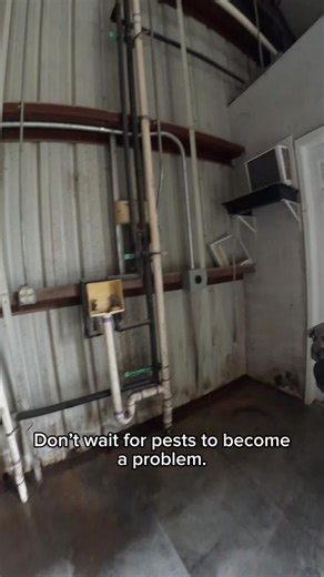 Preventative Pest Control Services in Houston, TX