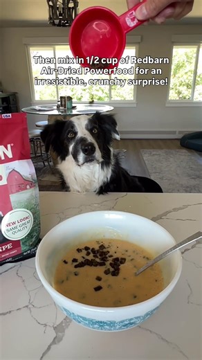 Dog-friendly Banana Crunch Ice Cream Recipe #dogmom