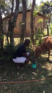 Yore yore😂 | OMOND