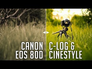 Make Your Canon Videos More Cinematic! (Canon eos 80D)