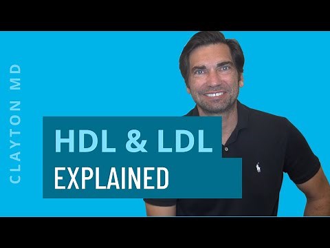Understanding HDL & LDL Cholesterol – Cholesterol Ratios Explained