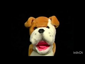 Baby Einstein: Neighborhood Animals - Bulldog Puppet