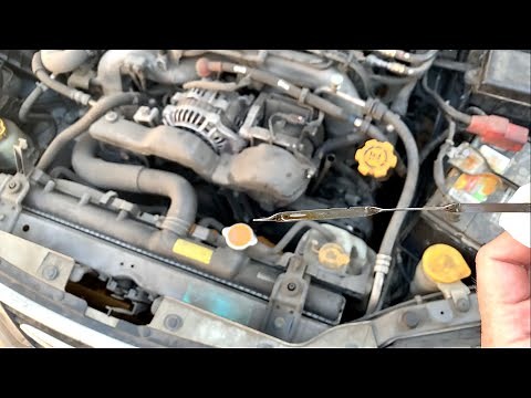 How To Check The Oil On A Subaru Impreza