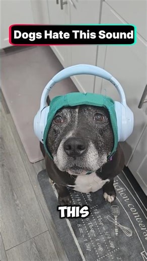 This Sound TERRIFIES Your Dog
