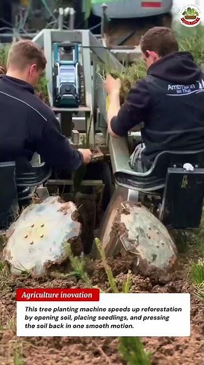 Tree Planting Machine 🌲 Insane Speed Reforestation!