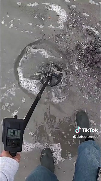 detectormoe on TikTok