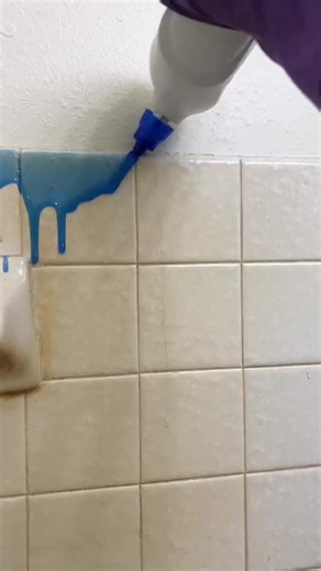 Bathroom Tile Reset & Deep Cleaning Tips