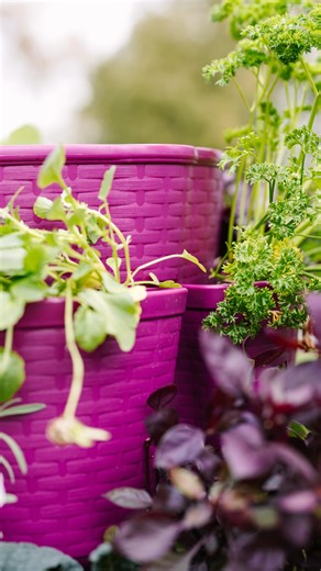 1K views · 23 reactions | It all began with a vertical planter! We...