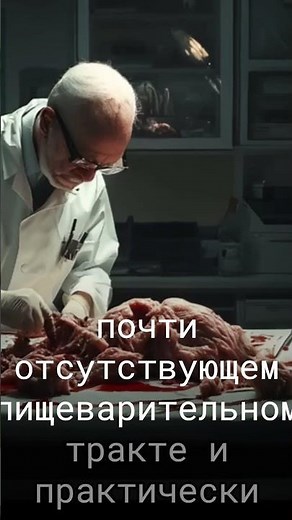 SCP 019 - Unveiling a Biological Enigma