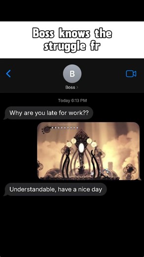 Boss knows the Struggle fr😭 Hollow Knight