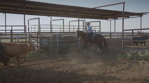 8.7K views · 83 reactions | It's that time of the year again - The...