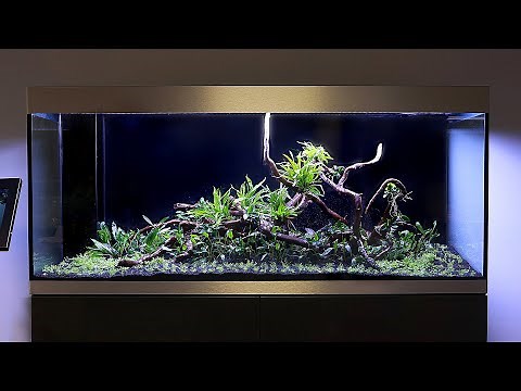 Aquascaping an OASE HighLine 400 Planted Tank - Cinematic Timelapse