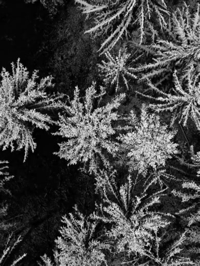 Disembodied Tyrant 🎶🎶🎶🎶🎶🎶🎶🎶🎶🎶🎶#metal #heavymusic #metalhead #metalerosentiktok #songsmetal