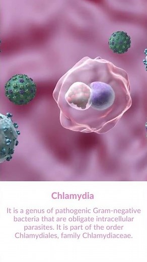 What is Chlamydia bacteria?