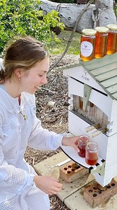 Second of seven things we didn’t expect when we invented the Flow Hive… That we’d inspire a new wave of backyard beekeepers Thank you so much for being part of our beekeeping family! Please tell us how the Flow Hive inspired you to get into backyard beekeeping? We'd love to hear your story. 🎉💛🎉 To mark the 7th anniversary of our Flow Hive Indiegogo campaign, we’re offering you a discount on our newest and greatest hive for the FIRST TIME EVER! We've never discounted our Flow Hive 2 before so 