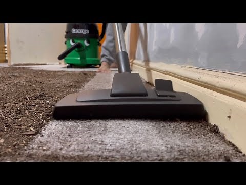 New year cleaning FT-Numatic George Vacuum cleaner - ENORMOUS MESS TEST!!! [medium-deep pile carpet]