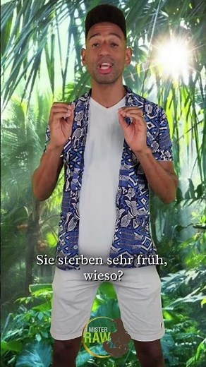 ⚠️ Zu viel Eiweiß kann gefährlich sein.