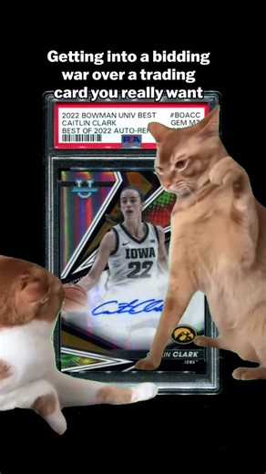 Exploring the Emotional Rollercoaster of Bidding Wars on eBay