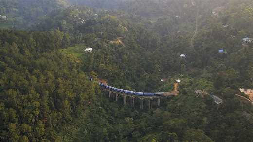 Why was this bridge built in the jungle?