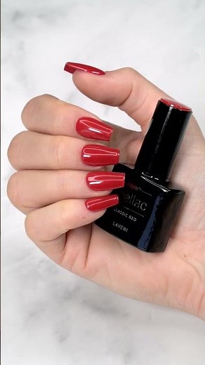 Jolifin LAVENI Shellac Starter-Set - S - Basic