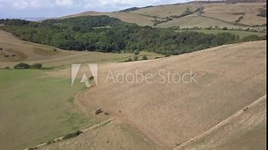 Wide aerial tracking forward towards the subtropical gardens near Abbotsbury, Dorset. Fields, hills and Sea surround the stunning landscape
