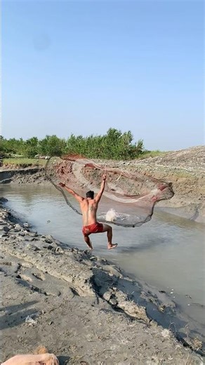 catch amazing net fishing time River 🐠 #fishing #safanafishing #fishinggear #casnet #fishingnets