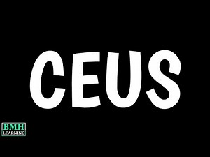 Contrast Enhansed Ultrasound Scan | CEUS |